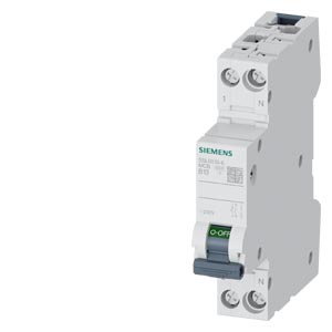 5SL6013-6 SIEMENS | 4001869533827